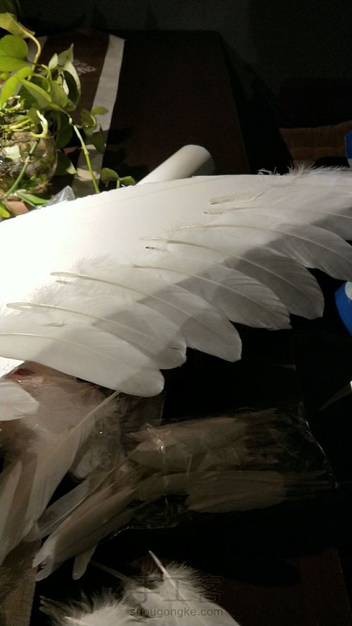 维多利亚的秘密羽毛翅膀,天使大翅膀,羽毛翅膀 第3步