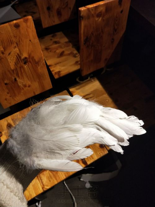 维多利亚的秘密羽毛翅膀,天使大翅膀,羽毛翅膀 第9步