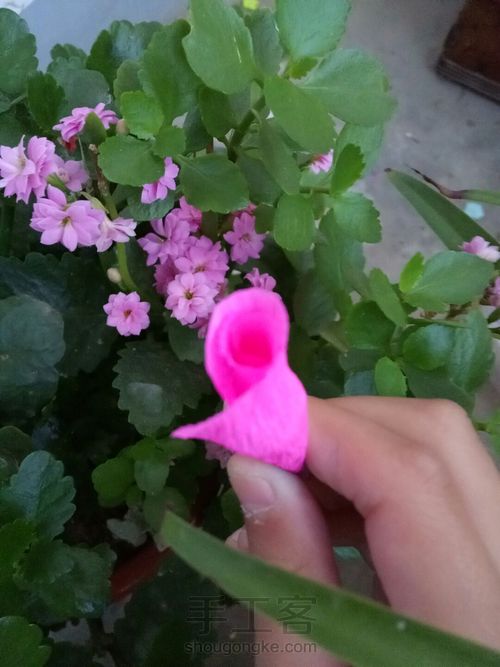 皱纹纸美丽的玫瑰 第11步