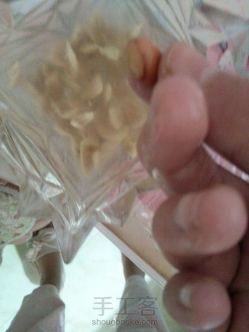 送自己一片小小柚子林 第4步