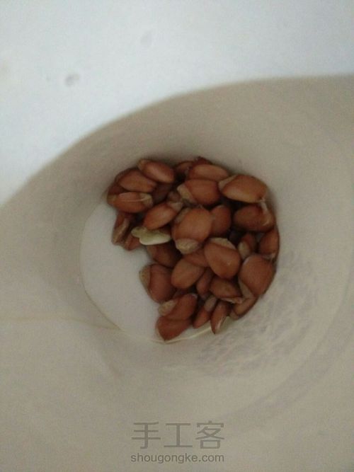 送自己一片小小柚子林 第5步