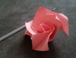 超简单川崎玫瑰。