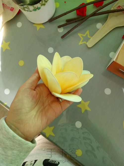 【原创】黄玉兰丝网花 第12步