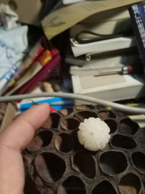 金刚菩提雕刻,白玉菩提雕刻 第11步