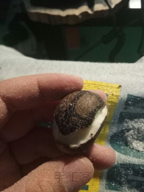 象牙果三界牌雕刻 第4步