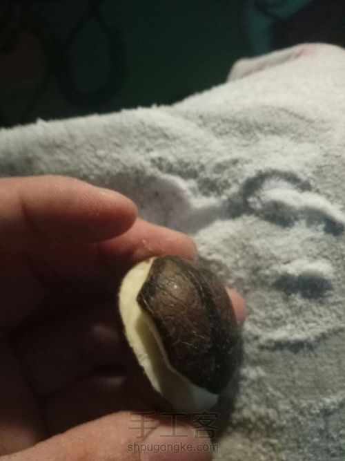 象牙果三界牌雕刻 第6步