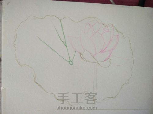 彩铅画~荷花 第2步