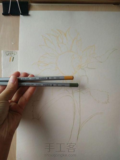 彩铅画向日葵 第3步