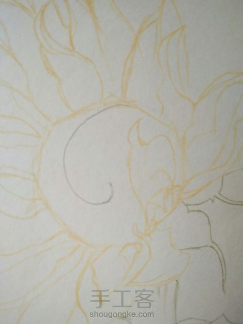 彩铅画向日葵 第4步