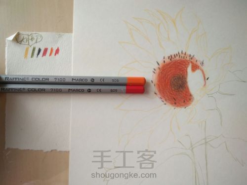 彩铅画向日葵 第9步