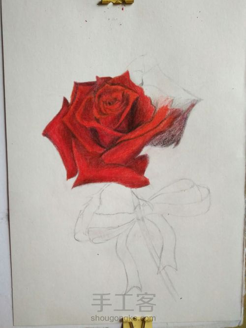 零基础手绘一只玫瑰 第10步