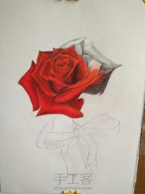 零基础手绘一只玫瑰 第12步