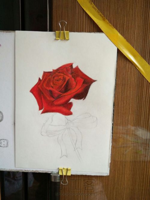 零基础手绘一只玫瑰 第14步