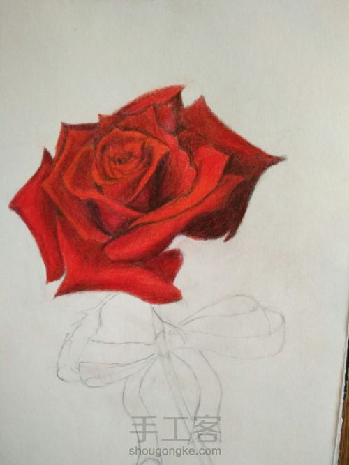 零基础手绘一只玫瑰 第15步