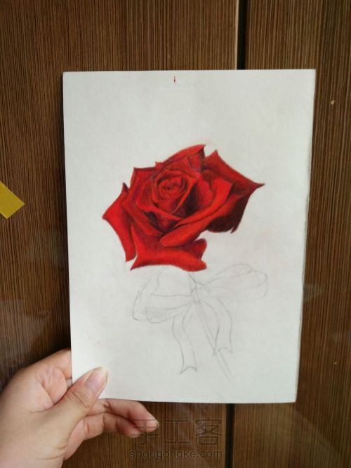 零基础手绘一只玫瑰 第21步
