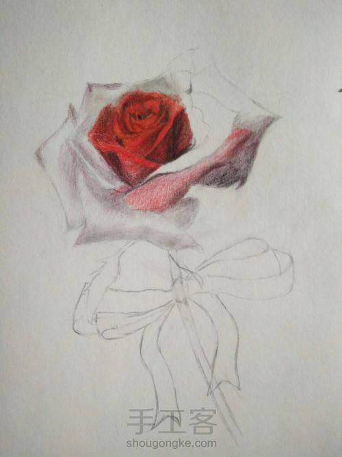 零基础手绘一只玫瑰 第6步