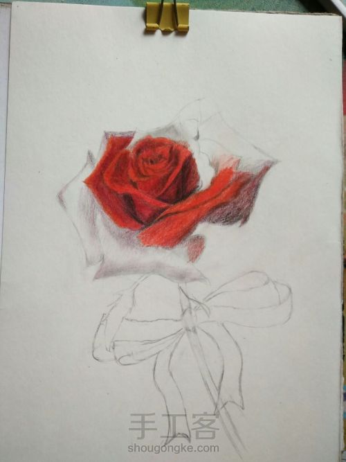 零基础手绘一只玫瑰 第8步