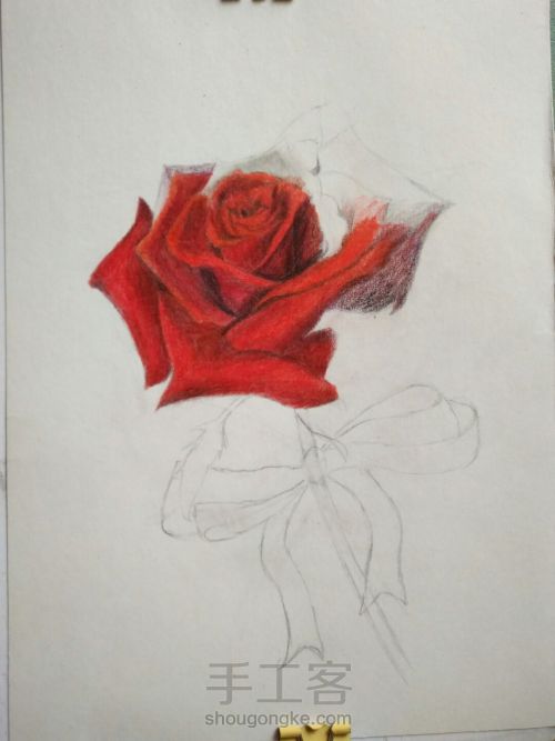零基础手绘一只玫瑰 第9步