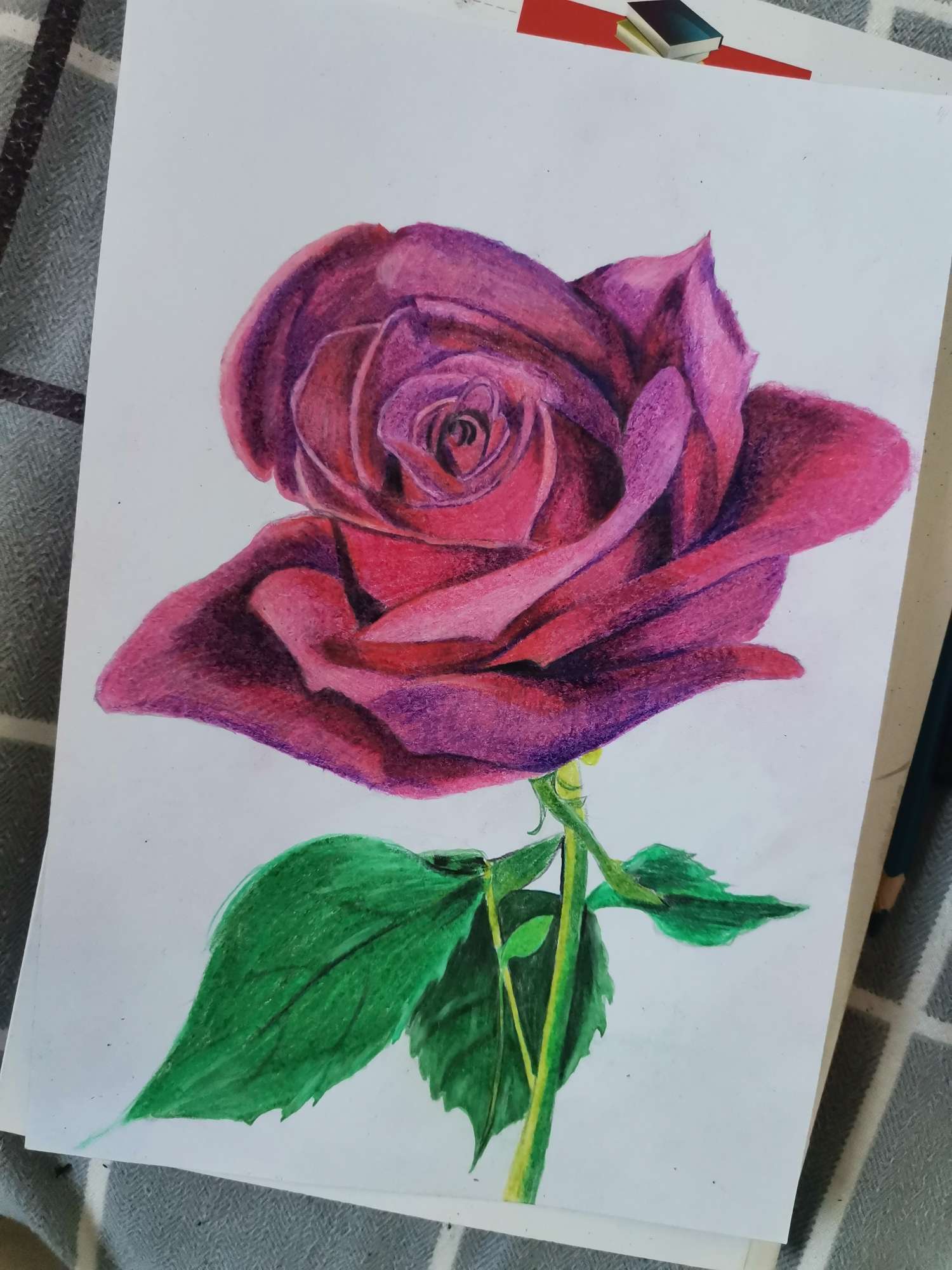 零基础也可以画出美丽的玫瑰花🌹
喜欢的话给个赞哦👍谢谢！
