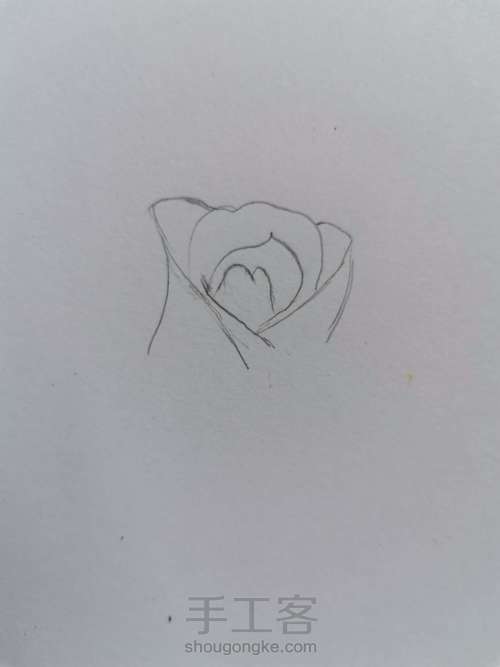 【干货】超详细彩铅画花卉教程03，线稿不会画，一定要看！ 第6步