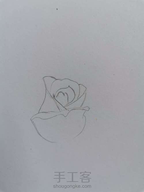 【干货】超详细彩铅画花卉教程03，线稿不会画，一定要看！ 第8步