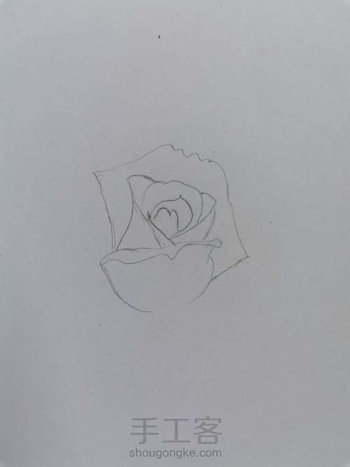 【干货】超详细彩铅画花卉教程03，线稿不会画，一定要看！ 第9步