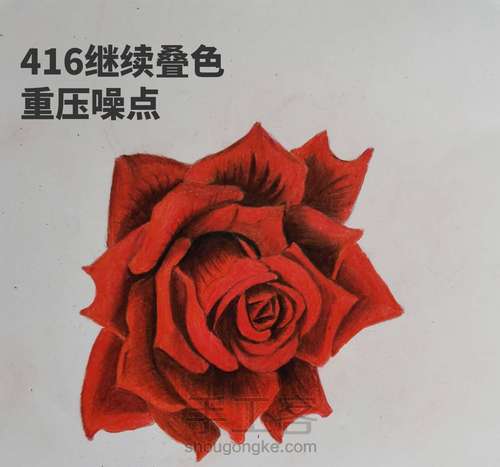 彩铅画玫瑰花 第4步