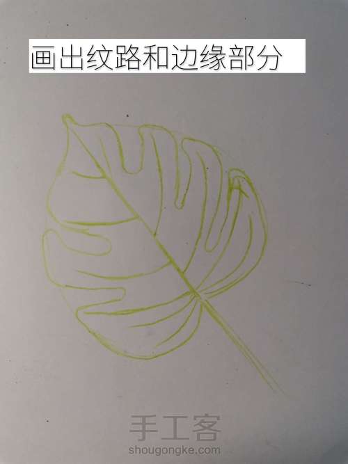 【干货】彩铅画详细叶子教程 第2步