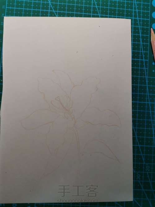 【详细教程】彩铅画一朵花瓣 第2步