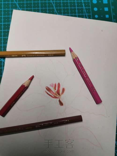 【详细教程】彩铅画一朵花瓣 第3步