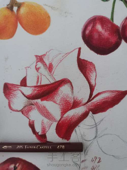 彩铅月季花【附色号】 第2步