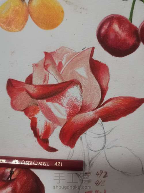 彩铅月季花【附色号】 第5步