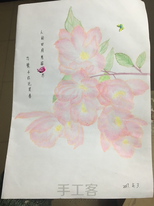 彩铅粉色花朵 第10步