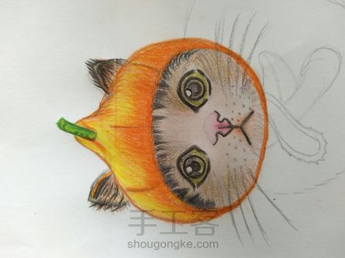 可爱的猫咪 第1步