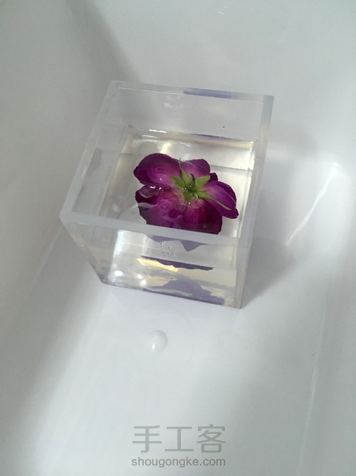 滴胶花朵标本教程