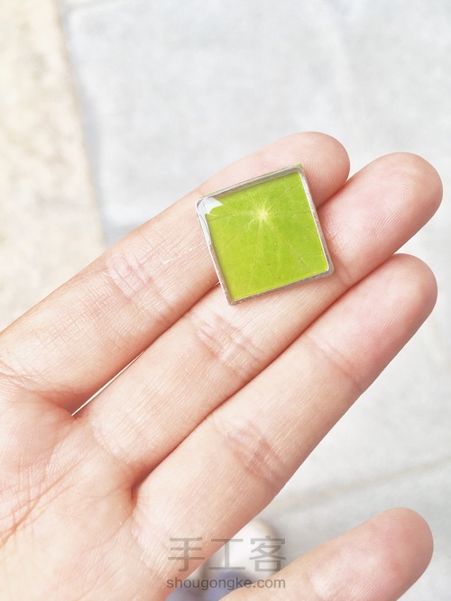 绿叶滴胶小框框 第14步