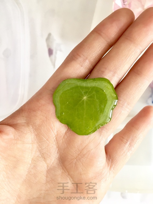 翠绿欲滴的滴胶叶子 第14步