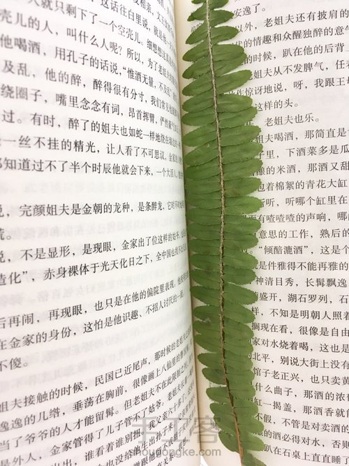 滴胶蕨叶书签 第4步