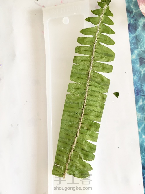 滴胶蕨叶书签 第6步