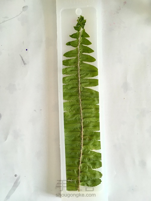 滴胶蕨叶书签 第7步