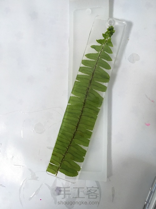 滴胶蕨叶书签 第14步