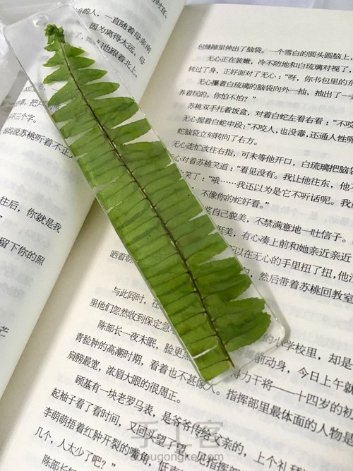 滴胶蕨叶书签 第15步