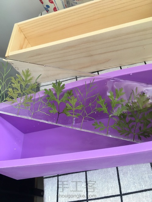 桌面上的小森林 第28步