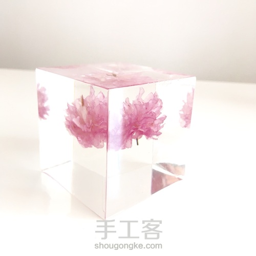 樱花标本 第4步