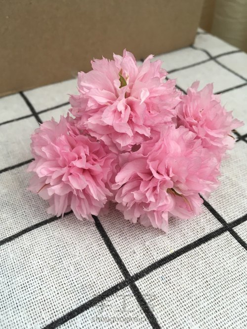 樱花标本 第8步