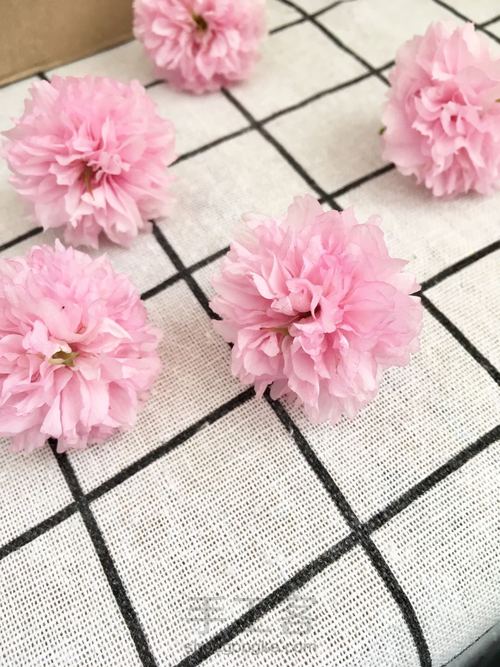 樱花标本 第9步