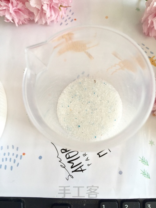 樱花标本 第11步