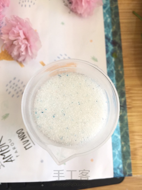 樱花标本 第14步