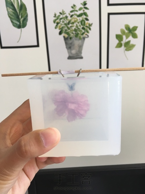 樱花标本 第21步