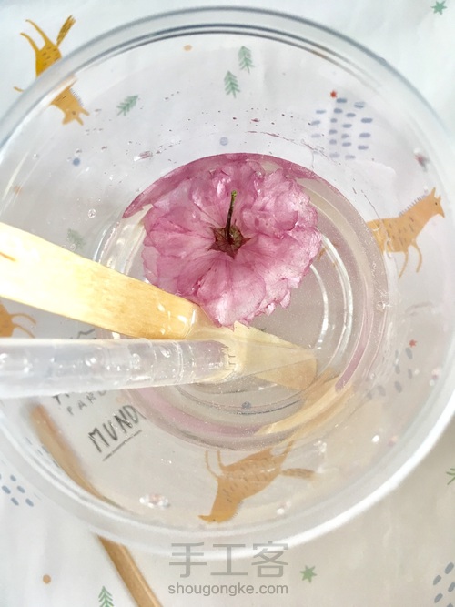 樱花标本 第30步